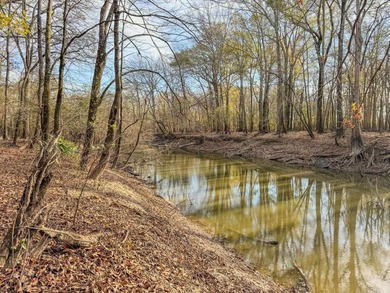 Flooding Timber and Habitat on the L'Anguille River. In the - photo 49