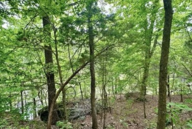 Private 36-Acre Lakefront Getaway! Call Josh! - photo 13