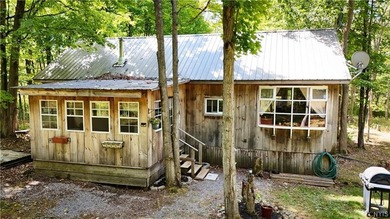 Hyde Lake Home Active Under Contract in Theresa New York