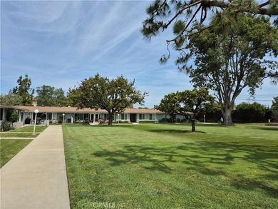 13701 Annandale Dr, 16Z - photo 4