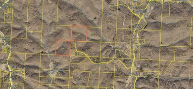 Lake of the Ozarks Acreage For Sale in Stover Missouri