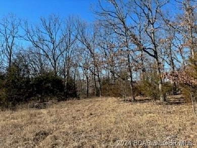 Lake of the Ozarks Lot For Sale in Camdenton Missouri