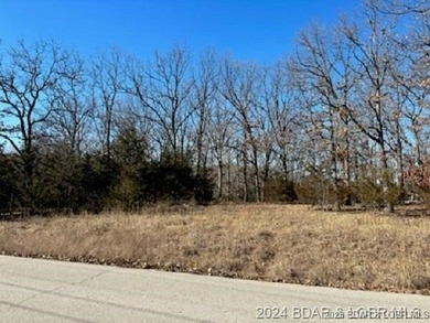 Three Camelot Building Lots on 1 Acre. Perfect for your special - photo 2