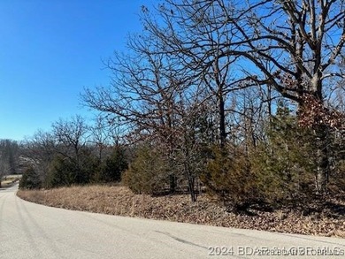 Three Camelot Building Lots on 1 Acre. Perfect for your special - photo 3