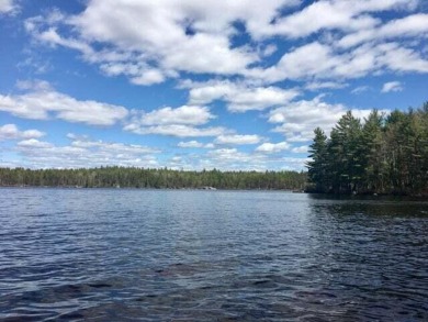 Little Rocky Pond Acreage For Sale in Ellsworth Maine