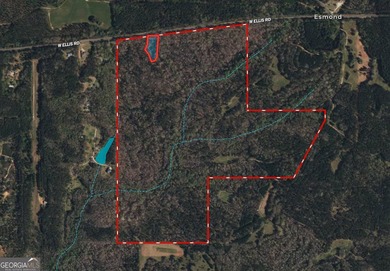 (private lake, pond, coastal) Acreage For Sale in Griffin Georgia