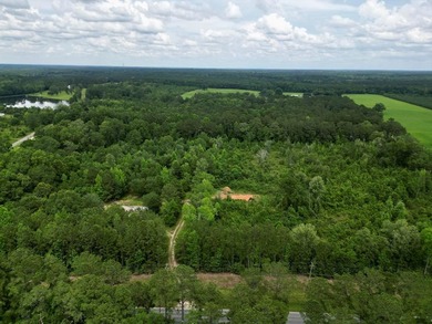 Pearl River Acreage For Sale in Poplarville Mississippi