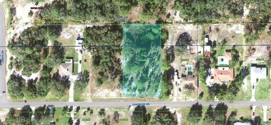 Lake Weohyakapka Lot Sale Pending in Lake Wales Florida