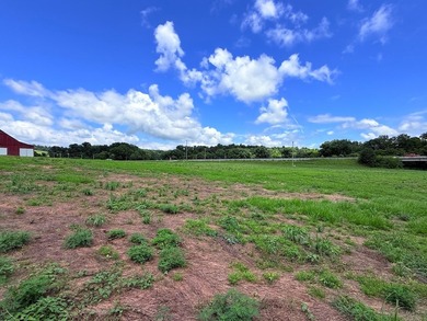 5.58 ACRES, m/l, Excellent Acreage Tract with LOTS of room for - photo 4