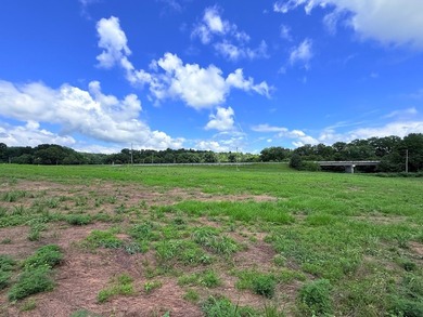 5.58 ACRES, m/l, Excellent Acreage Tract with LOTS of room for - photo 5