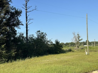 (private lake, pond, creek) Acreage Sale Pending in Defuniak Springs Florida