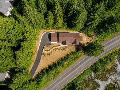 Rare brand new home South of town just steps away from Woahink - photo 6