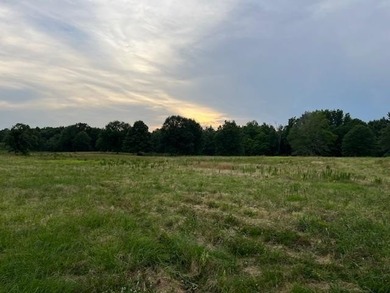 (private lake, pond, coastal) Acreage For Sale in Poplarville Mississippi