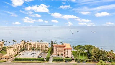 Kihei beachfront living at its finest! This beautifully - photo 33