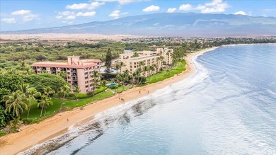 Kihei beachfront living at its finest! This beautifully - photo 40