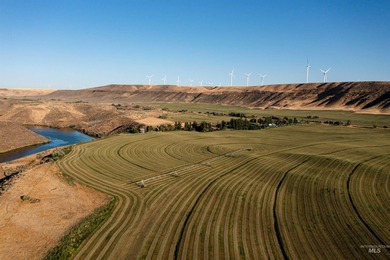 Snake River - Elmore County Home For Sale in Bliss Idaho