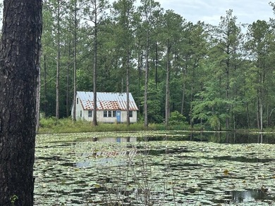 (private lake, pond, coastal) Home For Sale in Poplarville Mississippi