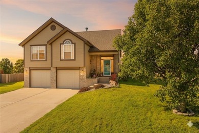 Smithville Lake Home For Sale in Smithville Missouri