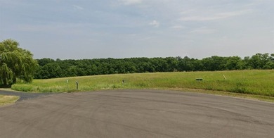 Lake Lot For Sale in Lake Carroll, Illinois