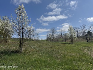 (private lake, pond, creek) Acreage For Sale in Ghent Kentucky