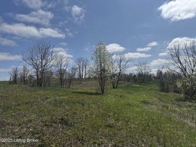 This property consists of approx. 4.57 acres. Building site and - photo 2