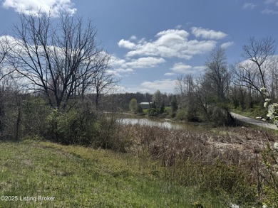 This property consists of approx. 4.57 acres. Building site and - photo 4