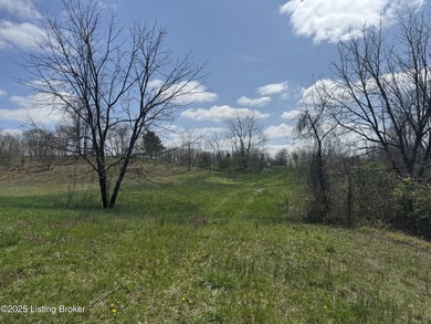 This property consists of approx. 4.57 acres. Building site and - photo 5