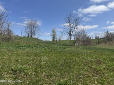 This property consists of approx. 4.57 acres. Building site and - photo 6
