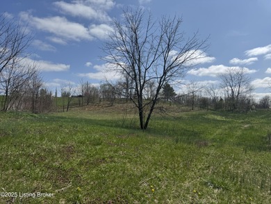 This property consists of approx. 4.57 acres. Building site and - photo 7