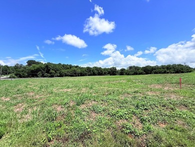 8.38 ACRES, m/l, Excellent Acreage Tract with LOTS of room for - photo 4