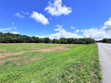 8.38 ACRES, m/l, Excellent Acreage Tract with LOTS of room for - photo 10