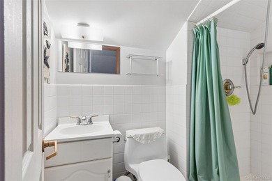 Rare 6-Level Architectural Masterpiece in North Flushing - photo 30
