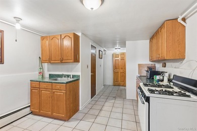 Rare 6-Level Architectural Masterpiece in North Flushing - photo 35