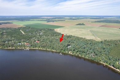 Lake Acreage For Sale in Necedah, Wisconsin