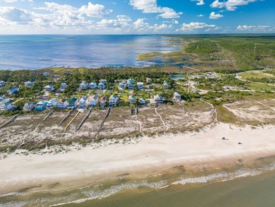 Discover the Forgotten Coast at its finest in the highly - photo 50