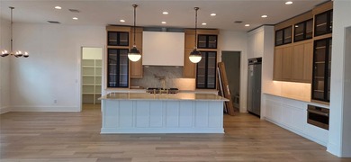 Under Construction. New waterfront Davis Islands Home with 5 - photo 4