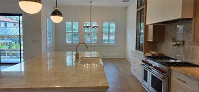 Under Construction. New waterfront Davis Islands Home with 5 - photo 5