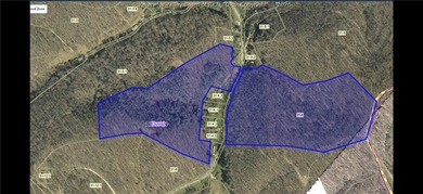 51 acres with endless possibilities! This unique property - photo 3