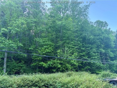 51 acres with endless possibilities! This unique property - photo 8