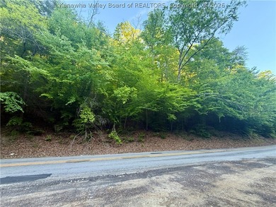 51 acres with endless possibilities! This unique property - photo 9