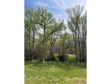 Lake Acreage For Sale in Graford, Texas
