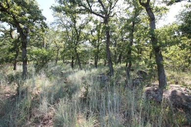 Lake Bridgeport Lot For Sale in Chico Texas