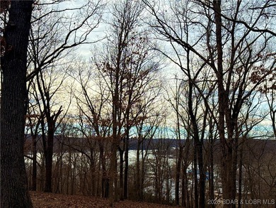 Lake of the Ozarks Lot For Sale in Stover Missouri