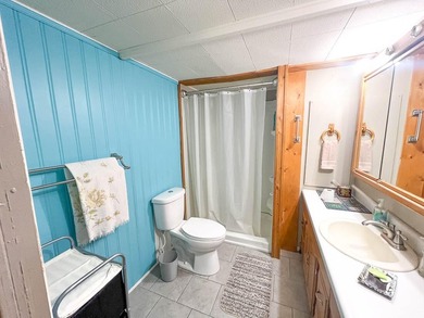 NEAR THE LAKE AND TOWN SERVICES 2 bedroom (plus bonus room that - photo 12