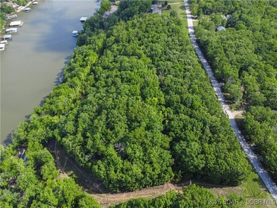 Discover this rare 9+ acre lakefront land 5 minutes from - photo 4