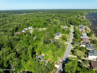 RARE OPPORTUNITY! One of the last available lots in Neuse - photo 14