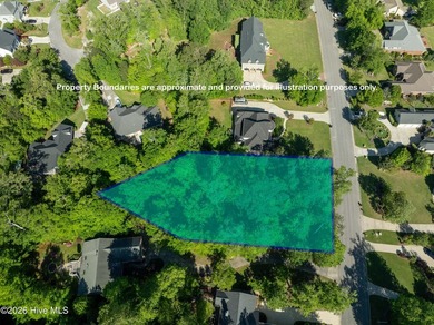 RARE OPPORTUNITY! One of the last available lots in Neuse - photo 18