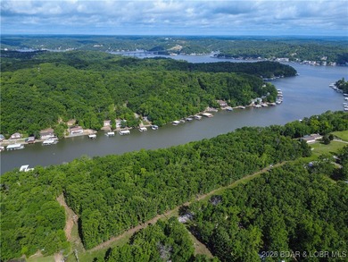 Discover this rare 9+ acre lakefront land 5 minutes from - photo 9
