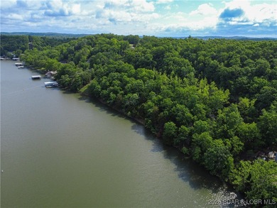 Discover this rare 9+ acre lakefront land 5 minutes from - photo 10