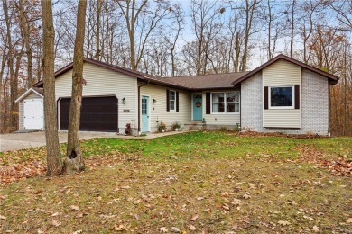 Cinnamon Lake Home For Sale in West Salem Ohio